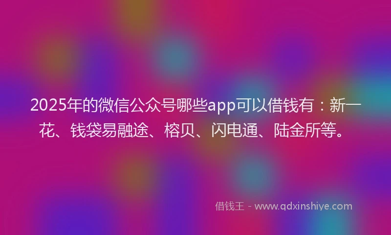 2025年的微信公众号哪些app可以借钱有：新一花、钱袋易融途、榕贝、闪电通、陆金所等。