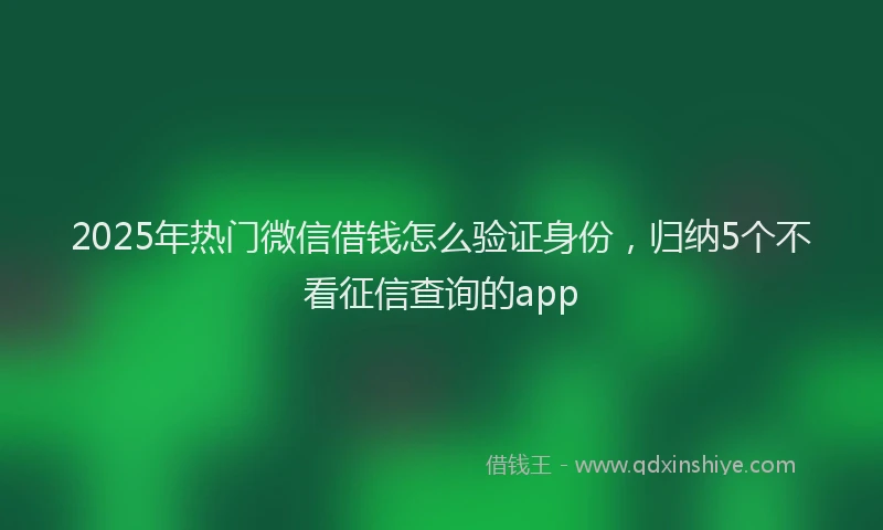2025年热门微信借钱怎么验证身份，归纳5个不看征信查询的app