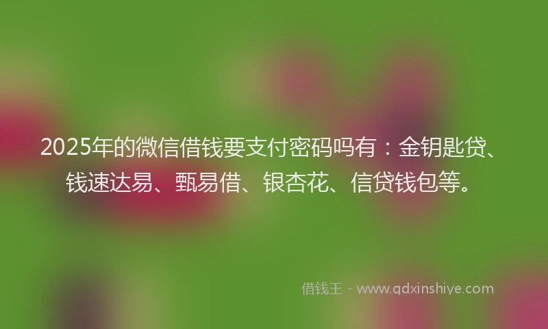 2025年的微信借钱要支付密码吗有：金钥匙贷、钱速达易、甄易借、银杏花、信贷钱包等。