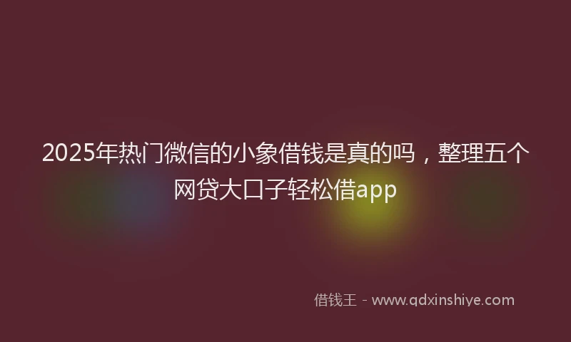 2025年热门微信的小象借钱是真的吗，整理五个网贷大口子轻松借app
