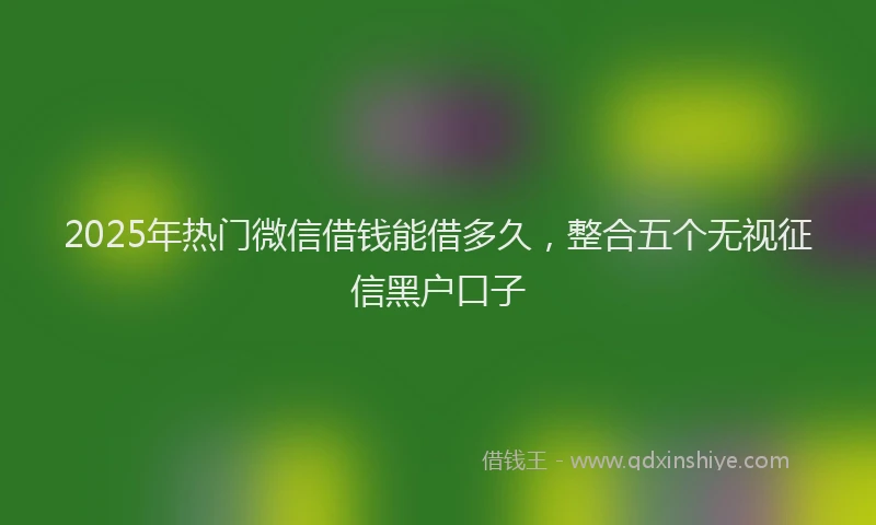 2025年热门微信借钱能借多久，整合五个无视征信黑户口子