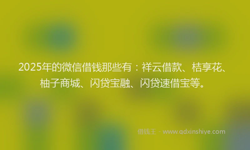 2025年的微信借钱那些有：祥云借款、桔享花、柚子商城、闪贷宝融、闪贷速借宝等。