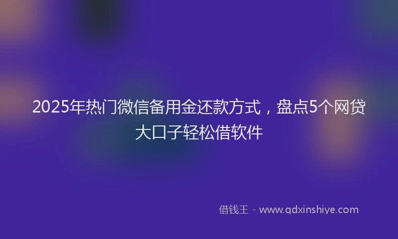 2025年热门微信备用金还款方式，盘点5个网贷大口子轻松借软件