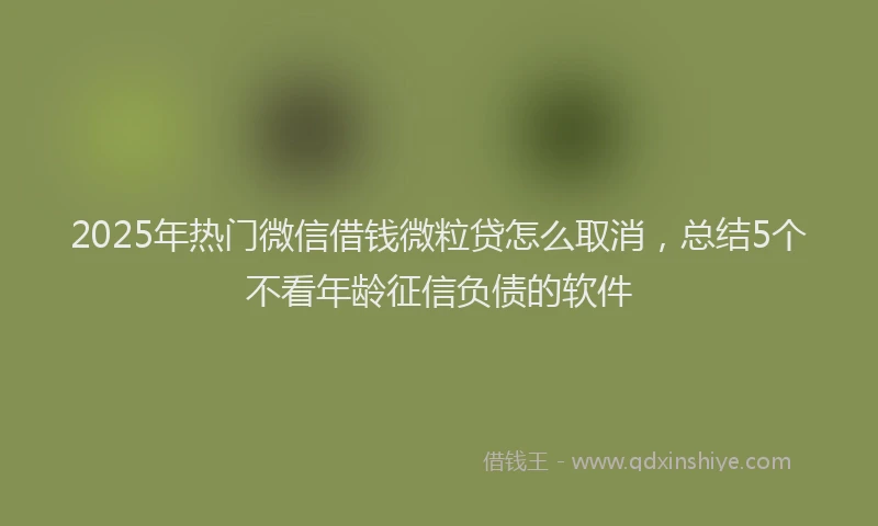 2025年热门微信借钱微粒贷怎么取消，总结5个不看年龄征信负债的软件