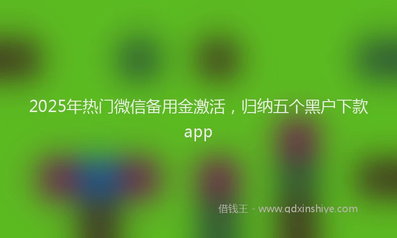 2025年热门微信备用金激活，归纳五个黑户下款app