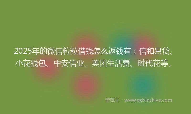 2025年的微信粒粒借钱怎么返钱有：信和易贷、小花钱包、中安信业、美团生活费、时代花等。