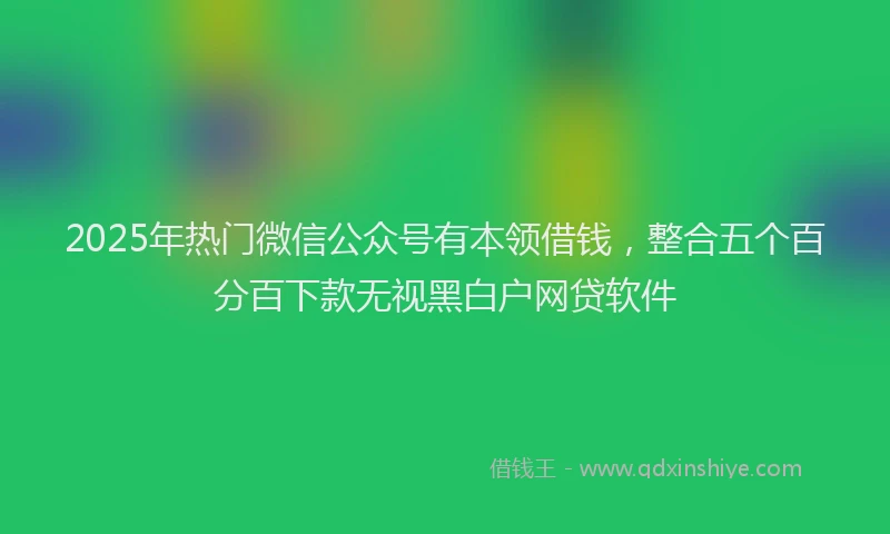 2025年热门微信公众号有本领借钱，整合五个百分百下款无视黑白户网贷软件