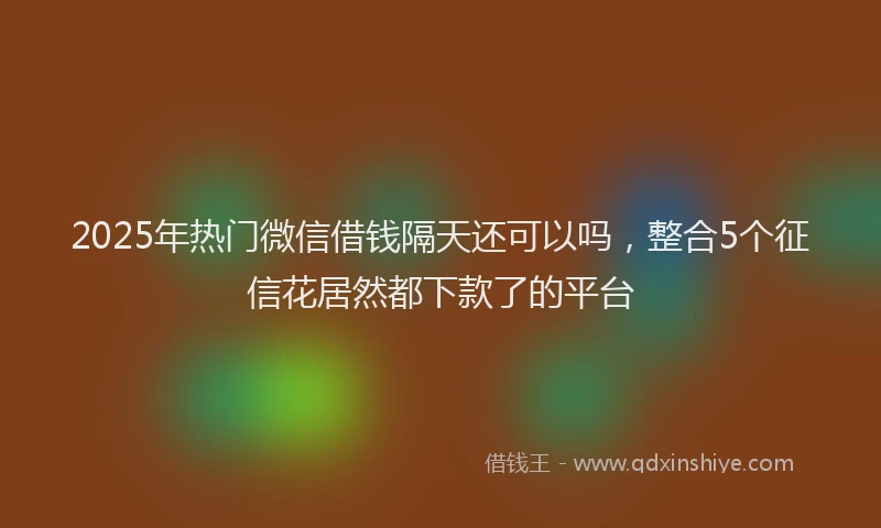 2025年热门微信借钱隔天还可以吗，整合5个征信花居然都下款了的平台