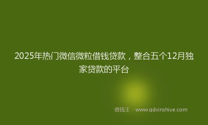 2025年热门微信微粒借钱贷款，整合五个12月独家贷款的平台