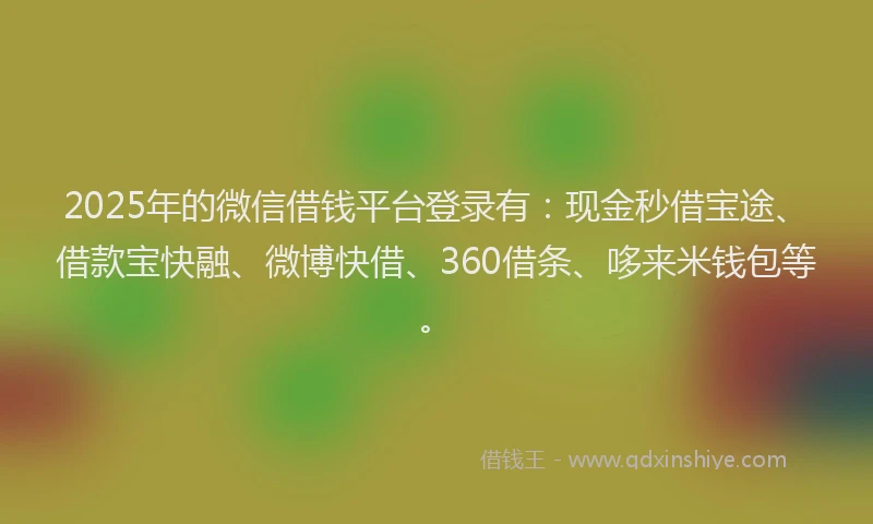 2025年的微信借钱平台登录有：现金秒借宝途、借款宝快融、微博快借、360借条、哆来米钱包等。