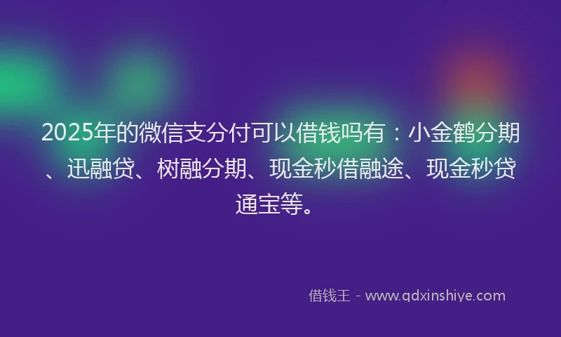 2025年的微信支分付可以借钱吗有：小金鹤分期、迅融贷、树融分期、现金秒借融途、现金秒贷通宝等。