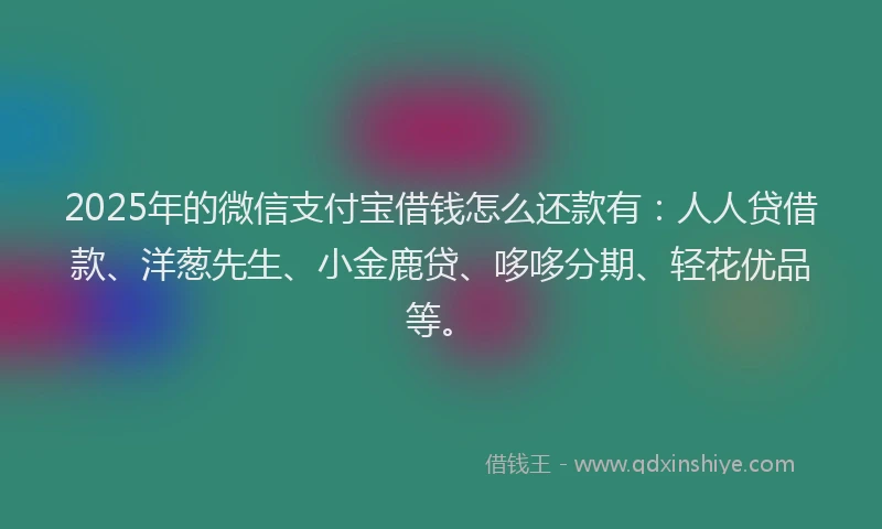 2025年的微信支付宝借钱怎么还款有：人人贷借款、洋葱先生、小金鹿贷、哆哆分期、轻花优品等。