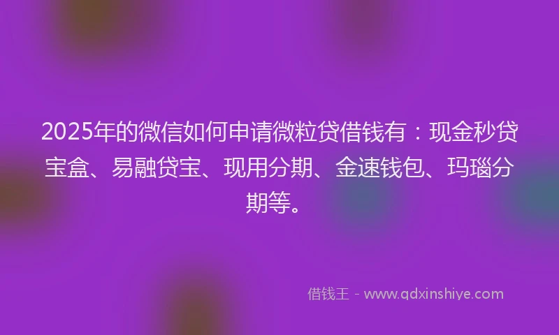 2025年的微信如何申请微粒贷借钱有：现金秒贷宝盒、易融贷宝、现用分期、金速钱包、玛瑙分期等。