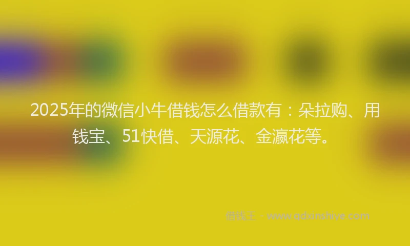 2025年的微信小牛借钱怎么借款有：朵拉购、用钱宝、51快借、天源花、金瀛花等。
