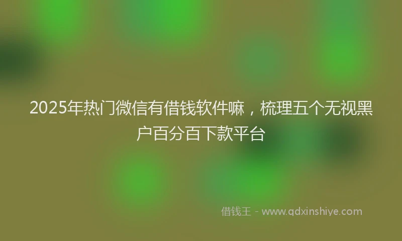 2025年热门微信有借钱软件嘛，梳理五个无视黑户百分百下款平台