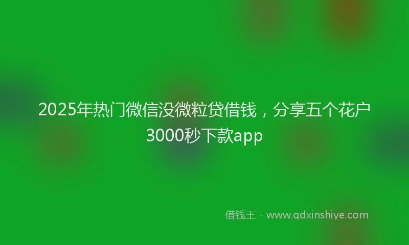 2025年热门微信没微粒贷借钱，分享五个花户3000秒下款app
