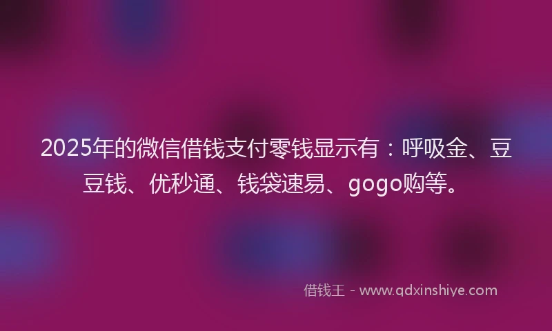 2025年的微信借钱支付零钱显示有：呼吸金、豆豆钱、优秒通、钱袋速易、gogo购等。