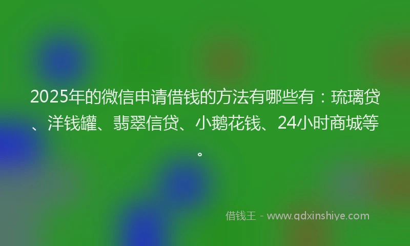 2025年的微信申请借钱的方法有哪些有：琉璃贷、洋钱罐、翡翠信贷、小鹅花钱、24小时商城等。