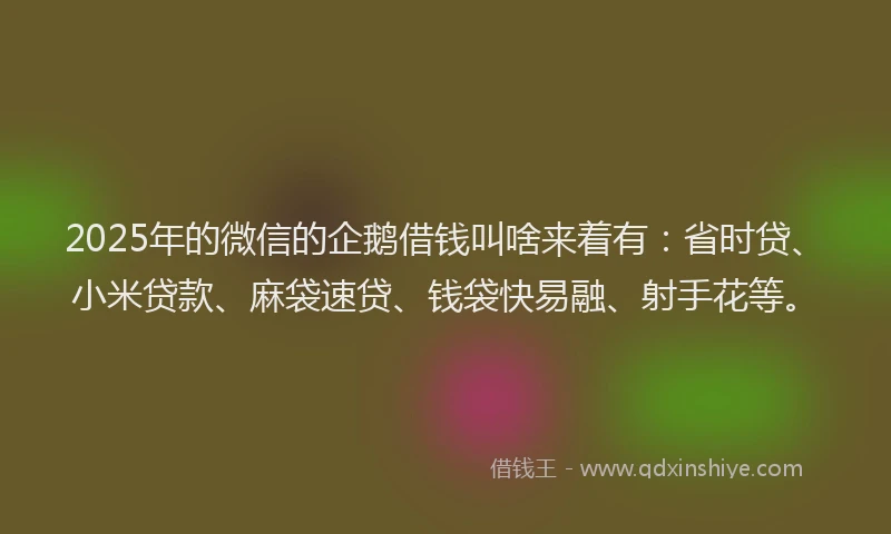 2025年的微信的企鹅借钱叫啥来着有：省时贷、小米贷款、麻袋速贷、钱袋快易融、射手花等。