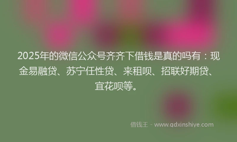 2025年的微信公众号齐齐下借钱是真的吗有：现金易融贷、苏宁任性贷、来租呗、招联好期贷、宜花呗等。