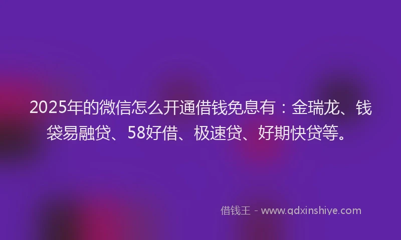 2025年的微信怎么开通借钱免息有：金瑞龙、钱袋易融贷、58好借、极速贷、好期快贷等。