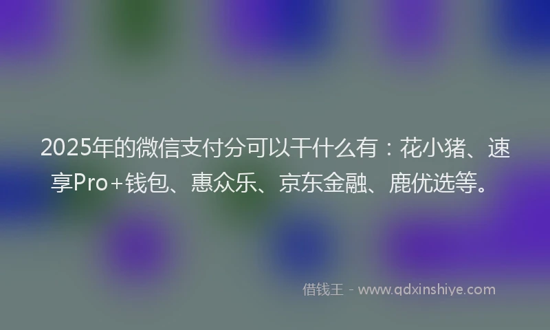 2025年的微信支付分可以干什么有：花小猪、速享Pro+钱包、惠众乐、京东金融、鹿优选等。
