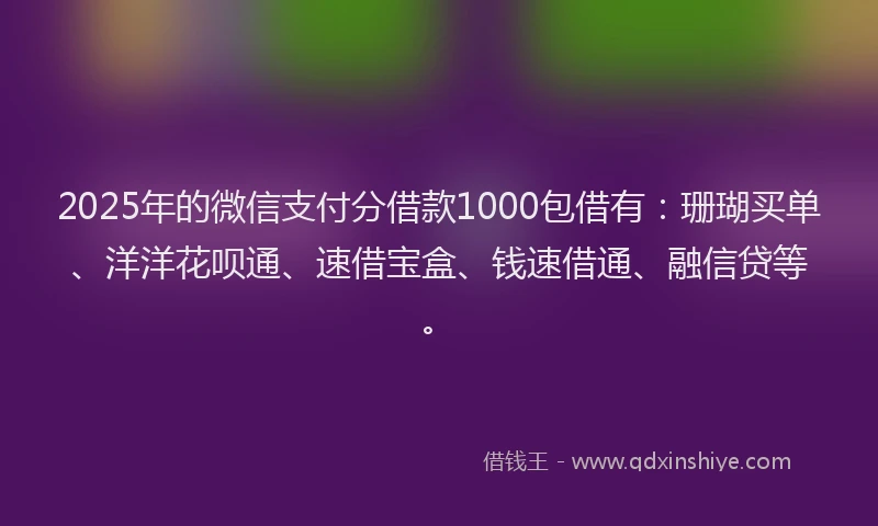 2025年的微信支付分借款1000包借有：珊瑚买单、洋洋花呗通、速借宝盒、钱速借通、融信贷等。