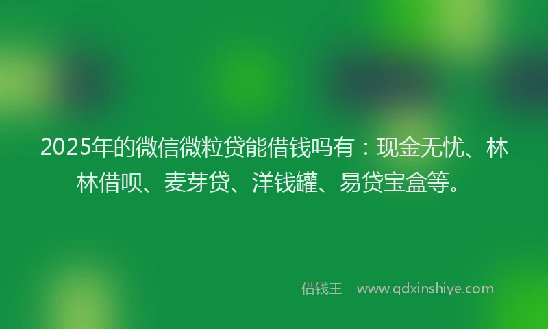 2025年的微信微粒贷能借钱吗有：现金无忧、林林借呗、麦芽贷、洋钱罐、易贷宝盒等。