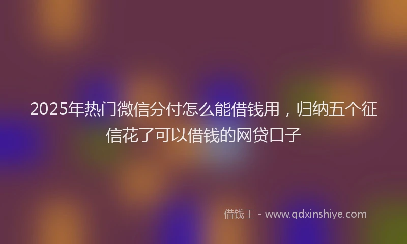 2025年热门微信分付怎么能借钱用，归纳五个征信花了可以借钱的网贷口子