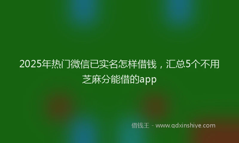 2025年热门微信已实名怎样借钱，汇总5个不用芝麻分能借的app