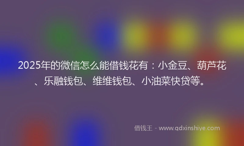 2025年的微信怎么能借钱花有：小金豆、葫芦花、乐融钱包、维维钱包、小油菜快贷等。