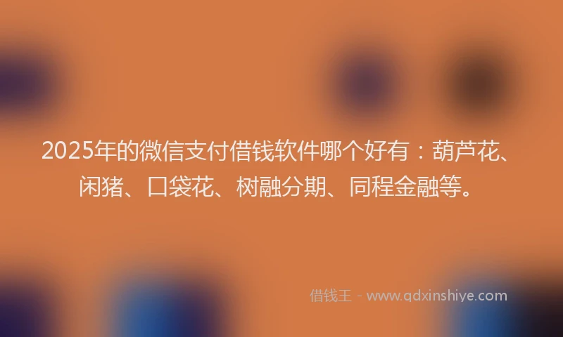 2025年的微信支付借钱软件哪个好有：葫芦花、闲猪、口袋花、树融分期、同程金融等。
