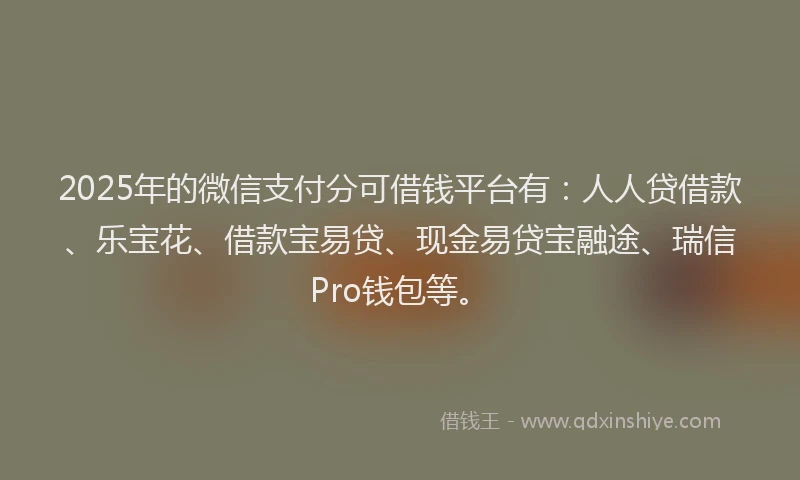 2025年的微信支付分可借钱平台有：人人贷借款、乐宝花、借款宝易贷、现金易贷宝融途、瑞信Pro钱包等。