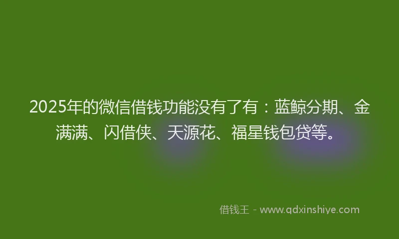2025年的微信借钱功能没有了有：蓝鲸分期、金满满、闪借侠、天源花、福星钱包贷等。