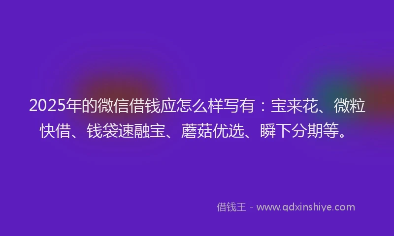 2025年的微信借钱应怎么样写有：宝来花、微粒快借、钱袋速融宝、蘑菇优选、瞬下分期等。