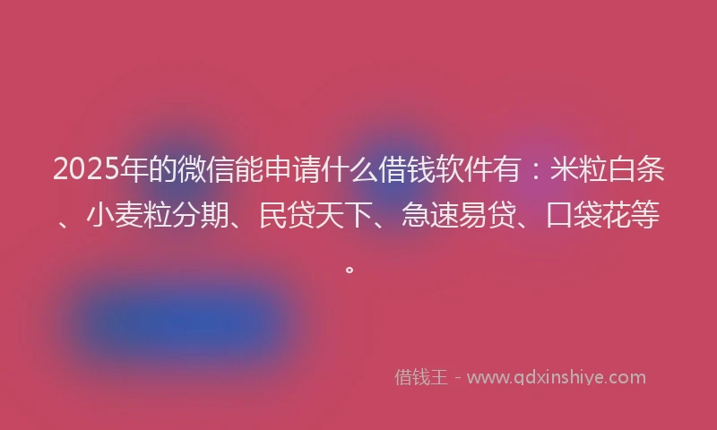 2025年的微信能申请什么借钱软件有：米粒白条、小麦粒分期、民贷天下、急速易贷、口袋花等。