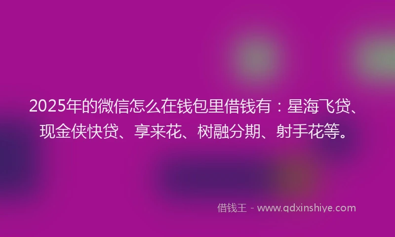2025年的微信怎么在钱包里借钱有：星海飞贷、现金侠快贷、享来花、树融分期、射手花等。
