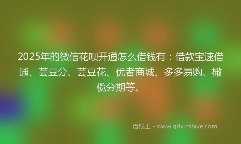 2025年的微信花呗开通怎么借钱有：借款宝速借通、芸豆分、芸豆花、优者商城、多多易购、橄榄分期等。