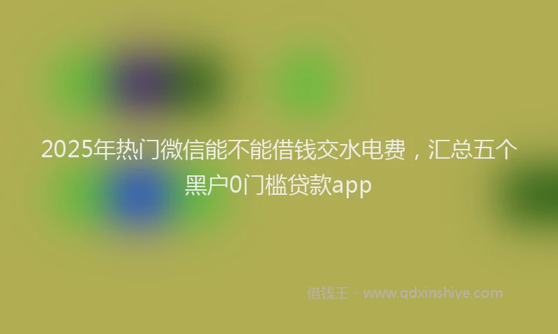 2025年热门微信能不能借钱交水电费，汇总五个黑户0门槛贷款app
