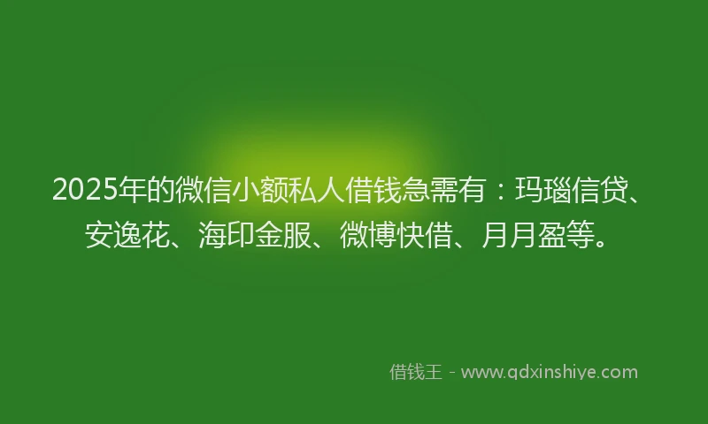 2025年的微信小额私人借钱急需有：玛瑙信贷、安逸花、海印金服、微博快借、月月盈等。