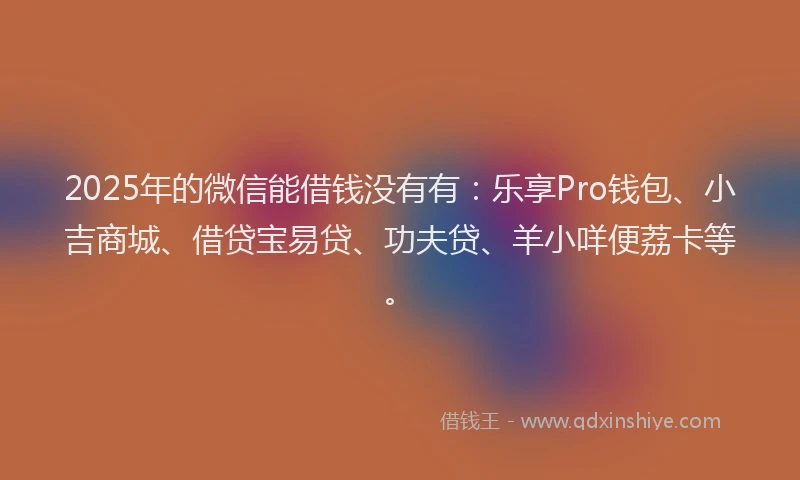 2025年的微信能借钱没有有：乐享Pro钱包、小吉商城、借贷宝易贷、功夫贷、羊小咩便荔卡等。