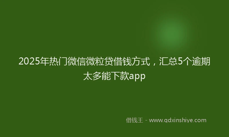 2025年热门微信微粒贷借钱方式，汇总5个逾期太多能下款app
