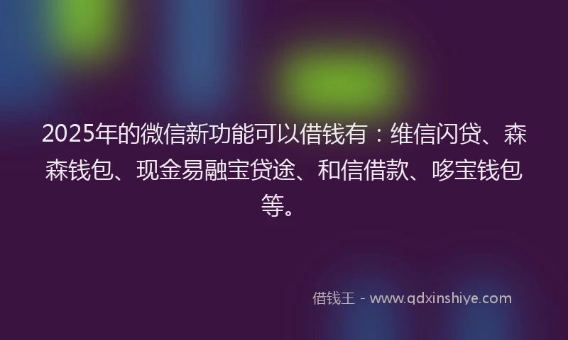 2025年的微信新功能可以借钱有：维信闪贷、森森钱包、现金易融宝贷途、和信借款、哆宝钱包等。