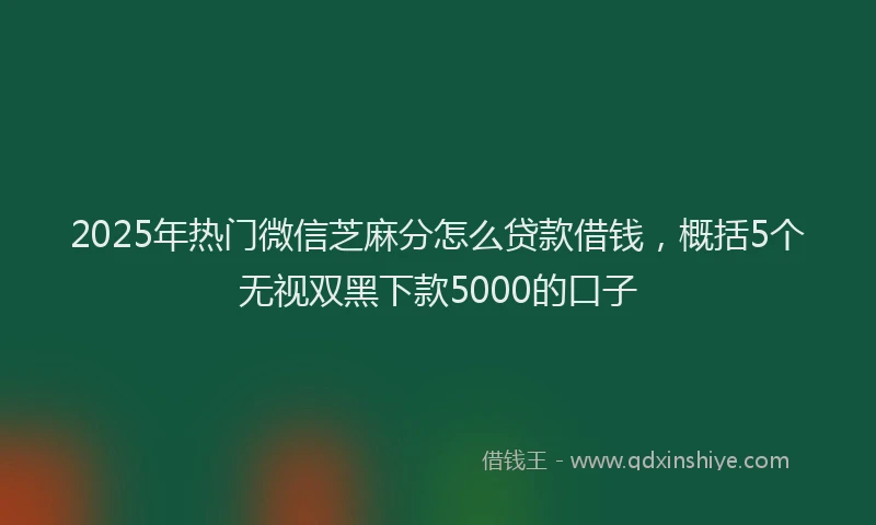 2025年热门微信芝麻分怎么贷款借钱，概括5个无视双黑下款5000的口子