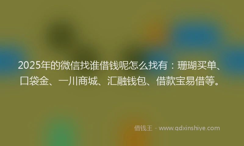 2025年的微信找谁借钱呢怎么找有：珊瑚买单、口袋金、一川商城、汇融钱包、借款宝易借等。