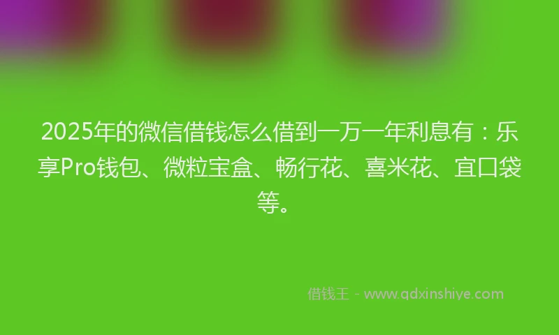 2025年的微信借钱怎么借到一万一年利息有：乐享Pro钱包、微粒宝盒、畅行花、喜米花、宜口袋等。