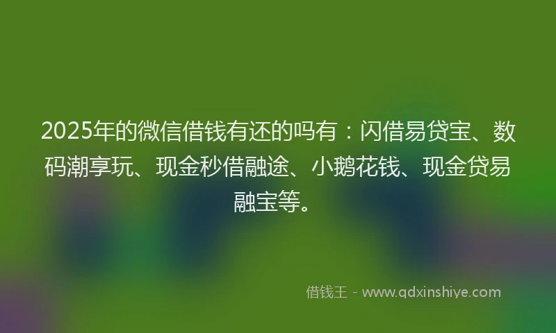 2025年的微信借钱有还的吗有：闪借易贷宝、数码潮享玩、现金秒借融途、小鹅花钱、现金贷易融宝等。
