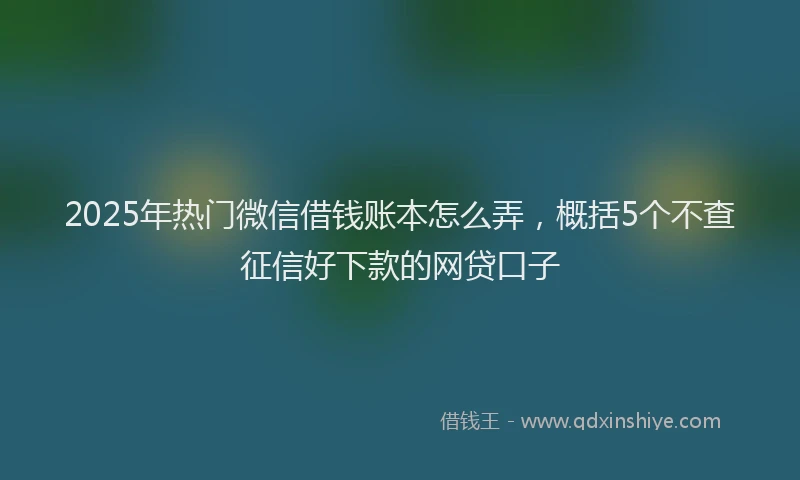2025年热门微信借钱账本怎么弄，概括5个不查征信好下款的网贷口子