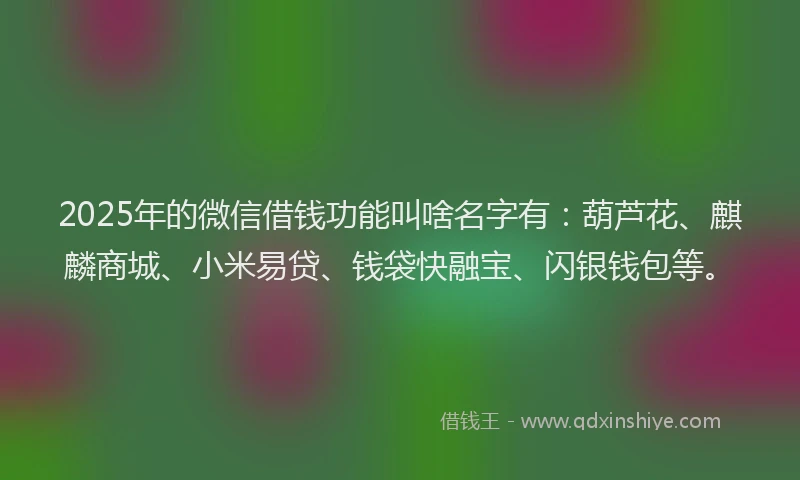 2025年的微信借钱功能叫啥名字有：葫芦花、麒麟商城、小米易贷、钱袋快融宝、闪银钱包等。