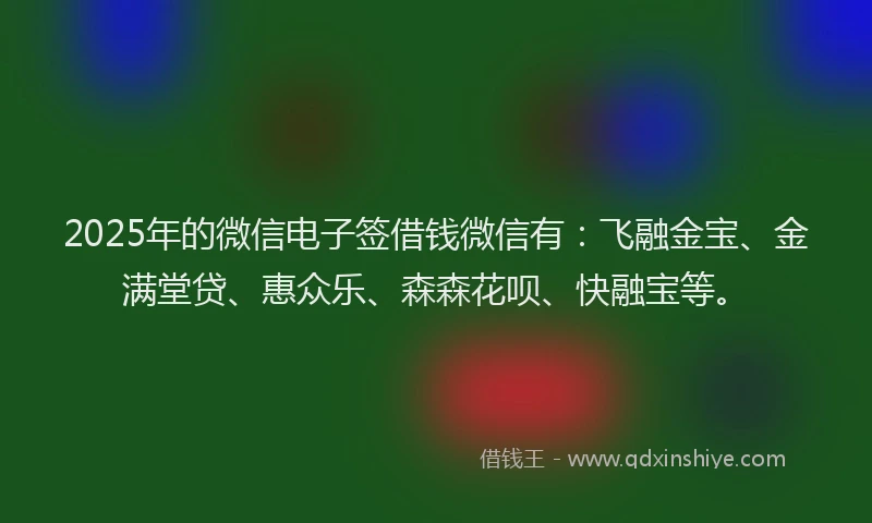 2025年的微信电子签借钱微信有：飞融金宝、金满堂贷、惠众乐、森森花呗、快融宝等。